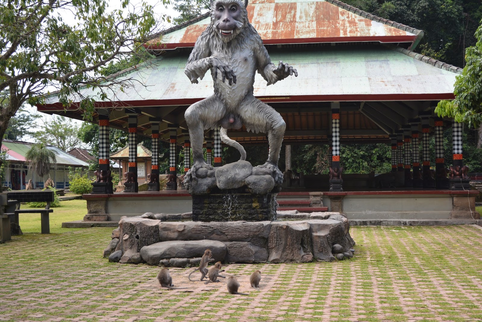 https://d3r8gwkgo0io6y.cloudfront.net/upload/monkey forestt.JPG
